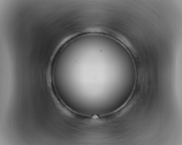 X0000115350984200911101133