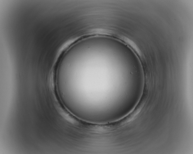 X0000115350987200911101133
