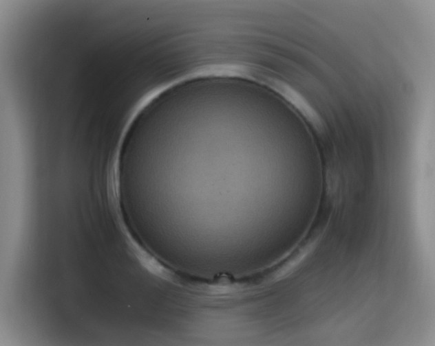 X0000115350988200911101133
