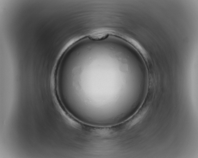 X0000115350999200911101132