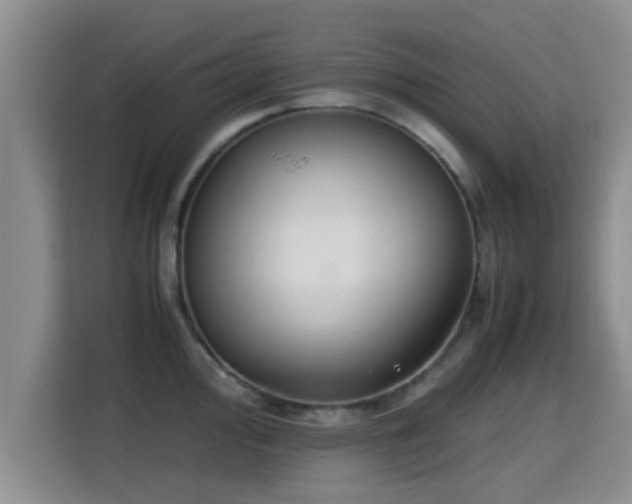 X0000115351000200911101132