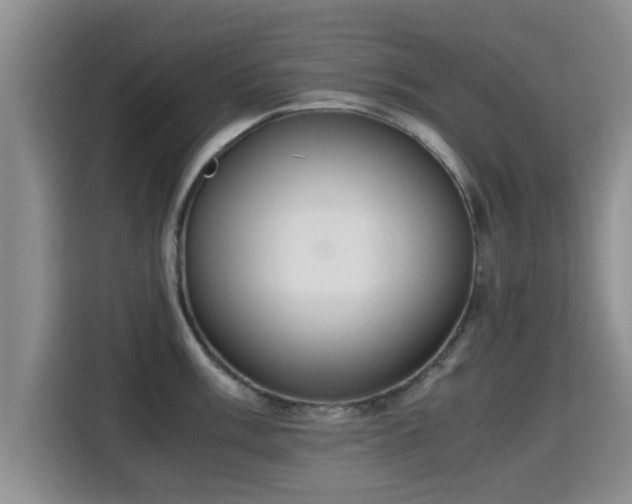 X0000115351003200911101132
