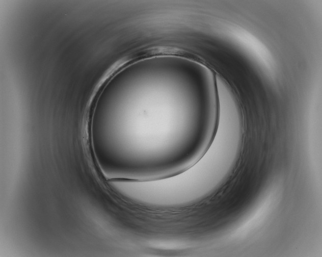 X0000115351005200911101132