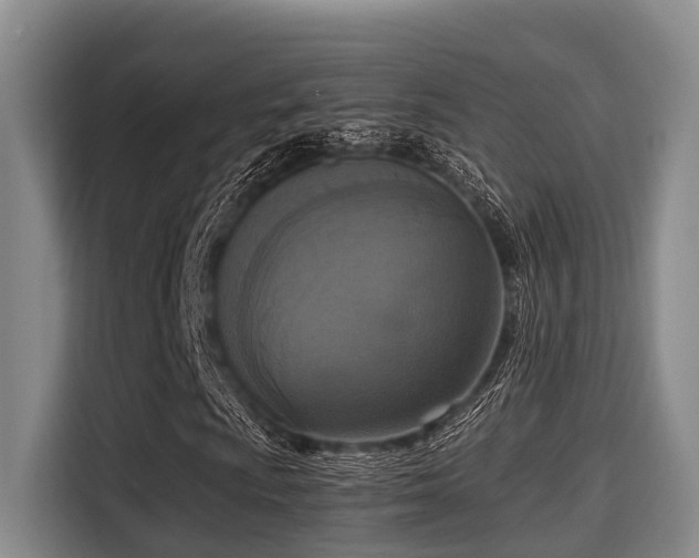 X0000115351009200911101131
