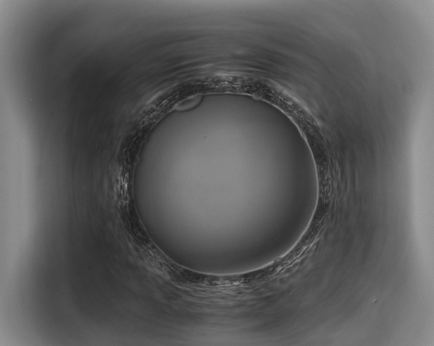 X0000115351013200911101132