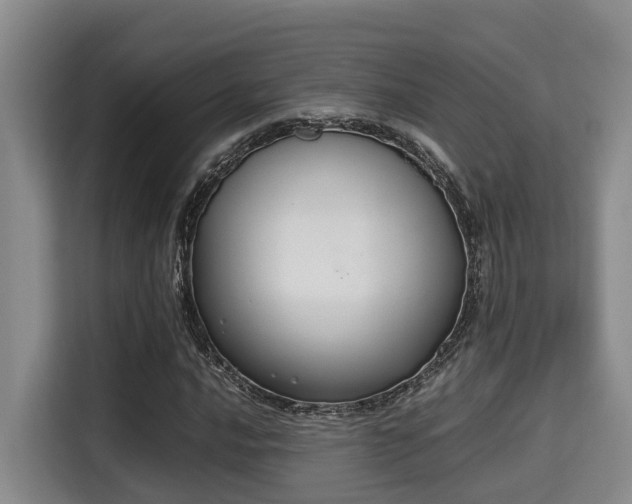 X0000115351016200911101132