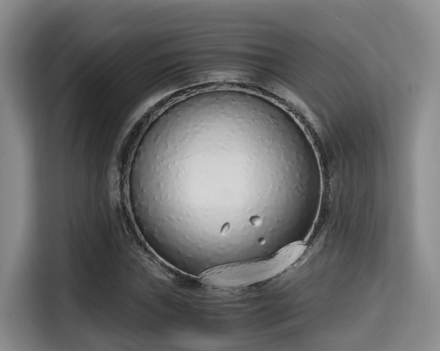 X0000115351019200911101132