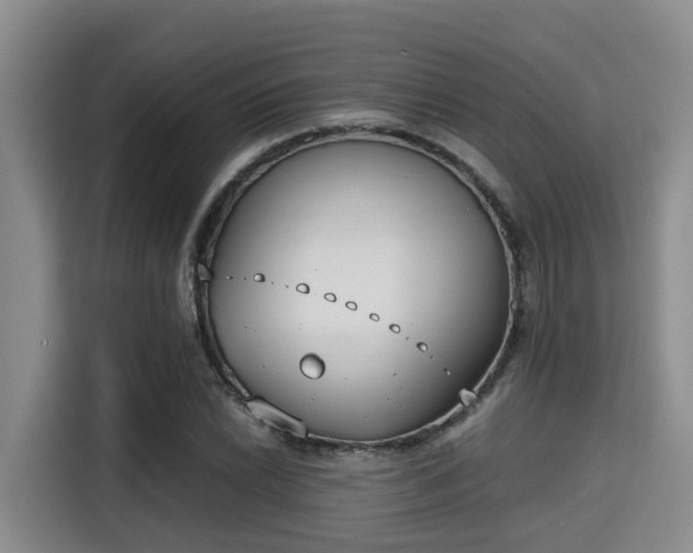 X0000115351022200911101132