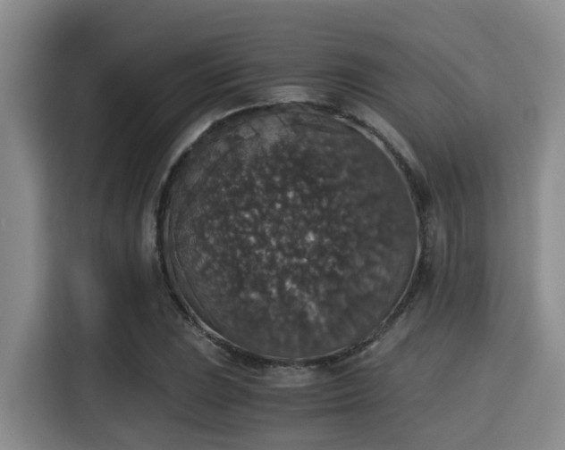 X0000115351023200911101132