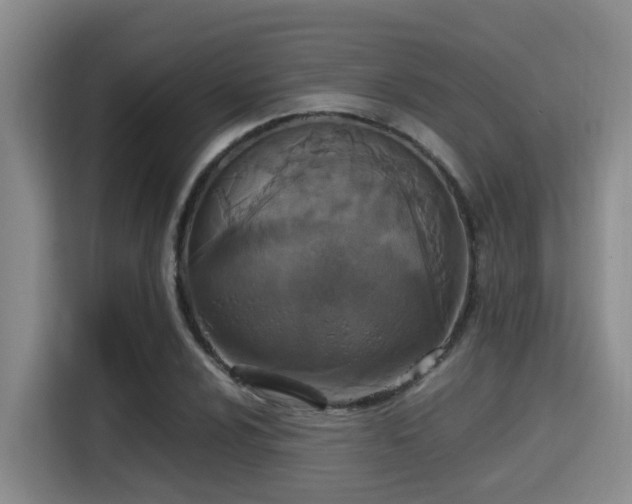 X0000115351024200911101132