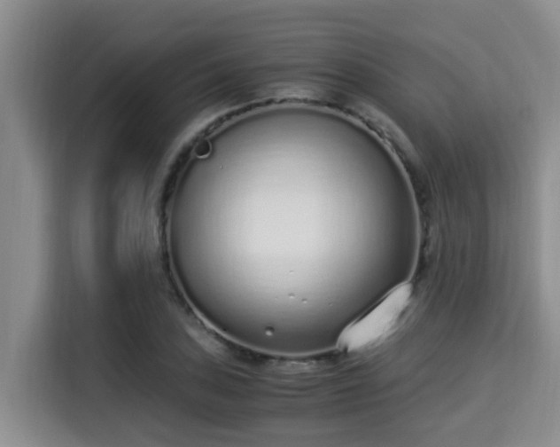 X0000115351027200911101132