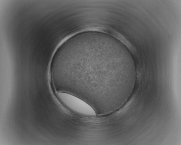X0000115351028200911101132