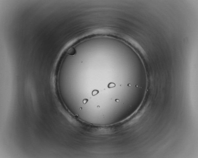 X0000115351029200911101132