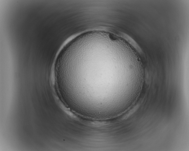 X0000115351036200911101132