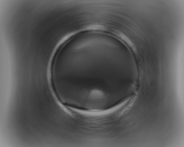 X0000115351037200911101132