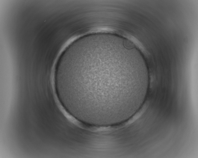 X0000115351038200911101132