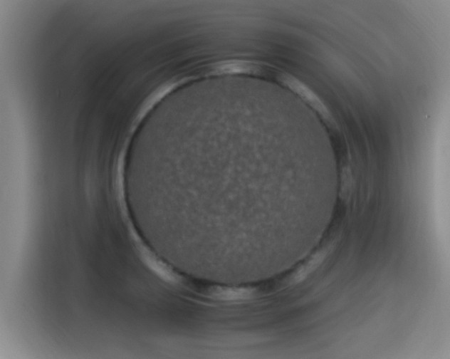 X0000115351039200911101132