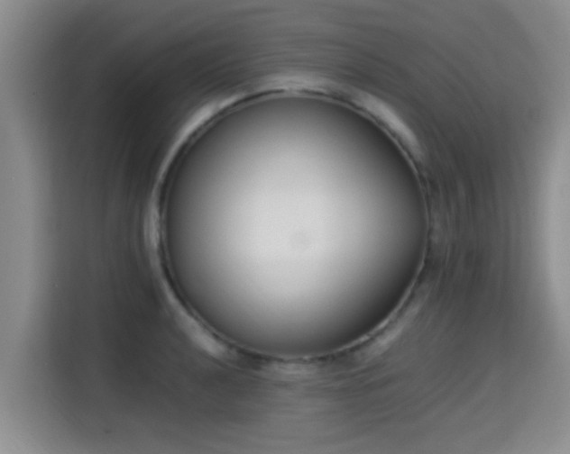X0000115351040200911101132