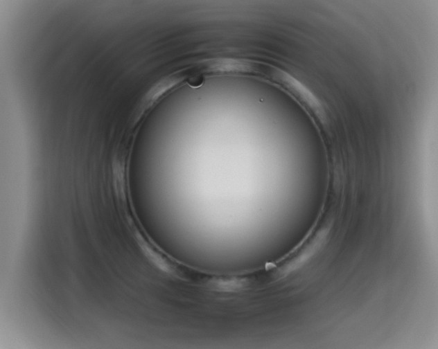 X0000115351041200911101132