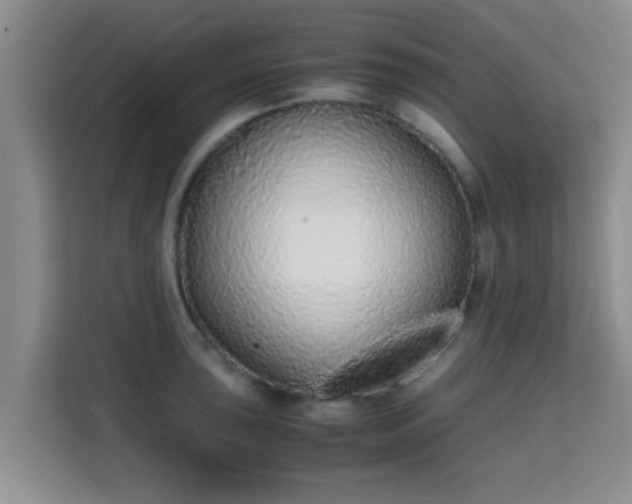 X0000115351043200911101132