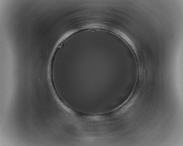 X0000115351045200911101132