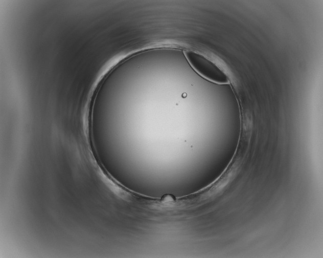 X0000115351054200911101132