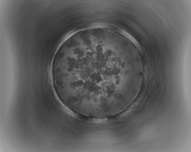 X0000115351055200911101132