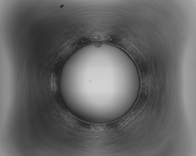 X0000115351058200911101131