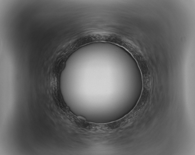 X0000115351061200911101131