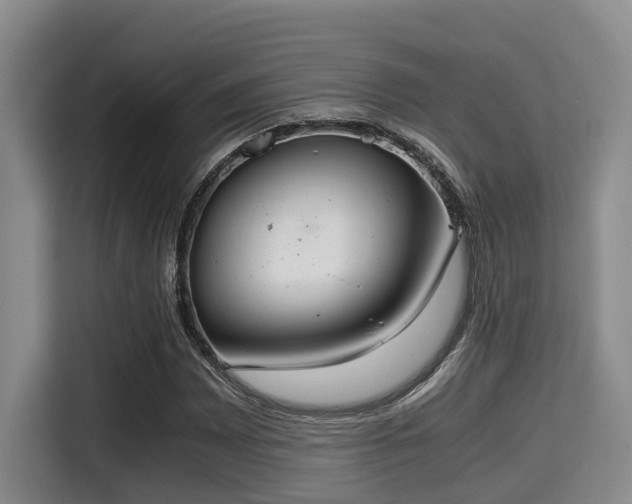 X0000115351065200911101131