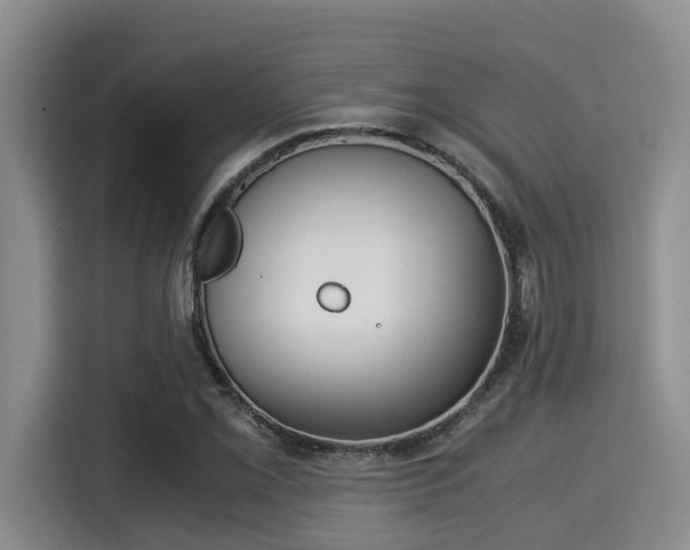 X0000115351069200911101131