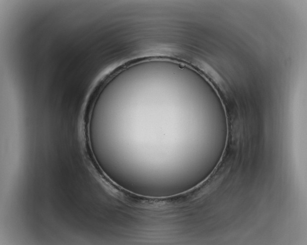 X0000115351072200911101131