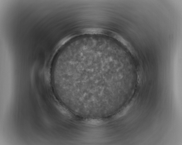 X0000115351074200911101131