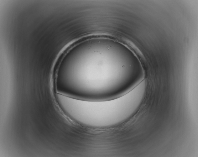 X0000115351076200911101131
