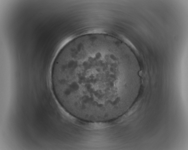 X0000115351087200911101131