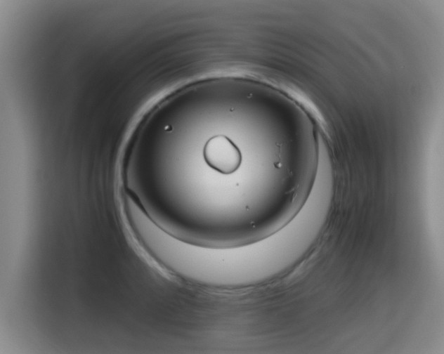 X0000115351088200911101131