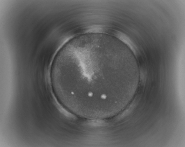 X0000115351090200911101131