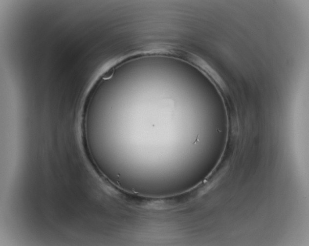 X0000115351093200911101131