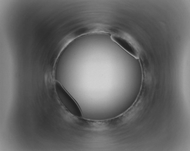 X0000115351097200911101131