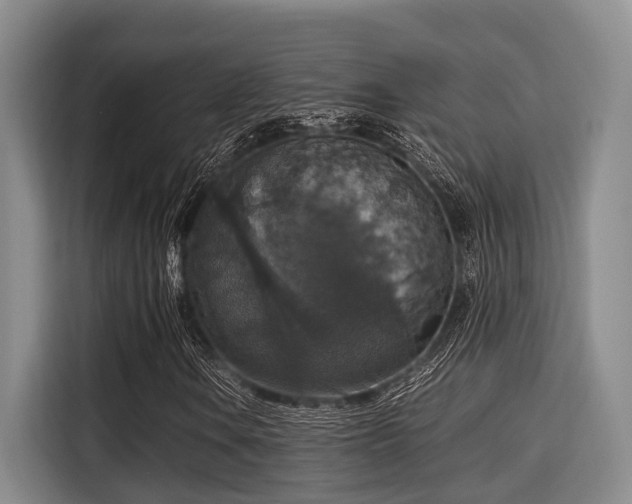 X0000115351106200911101130