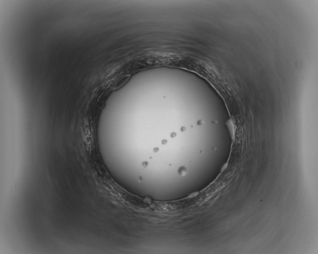 X0000115351109200911101130