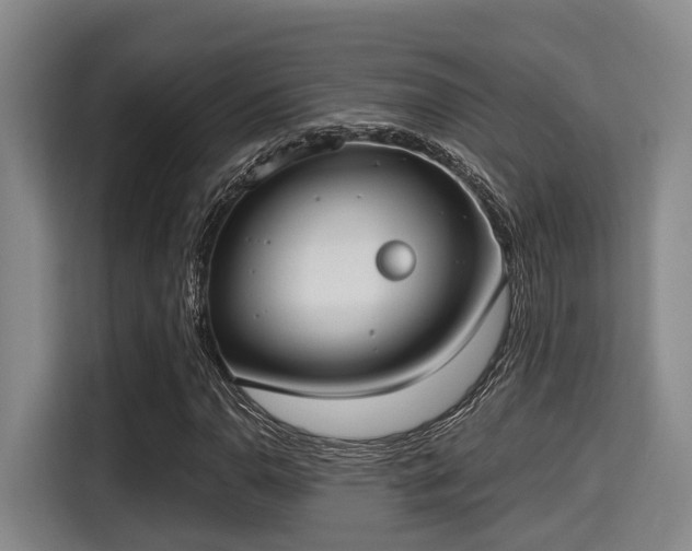 X0000115351110200911101130