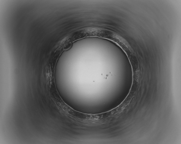 X0000115351111200911101130