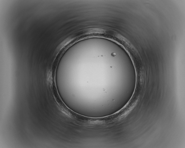 X0000115351113200911101130