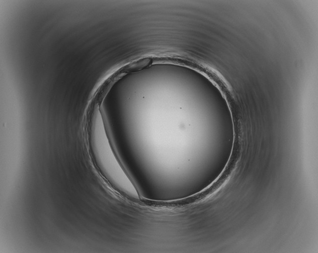 X0000115351114200911101130