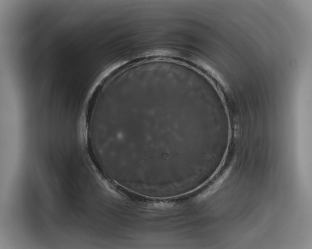 X0000115351117200911101130
