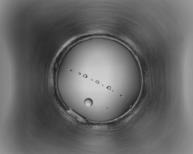 X0000115351118200911101130