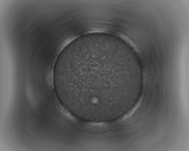 X0000115351121200911101130