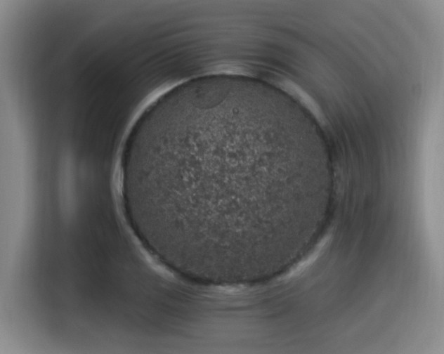 X0000115351125200911101130