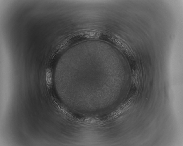 X0000115351154200911101130